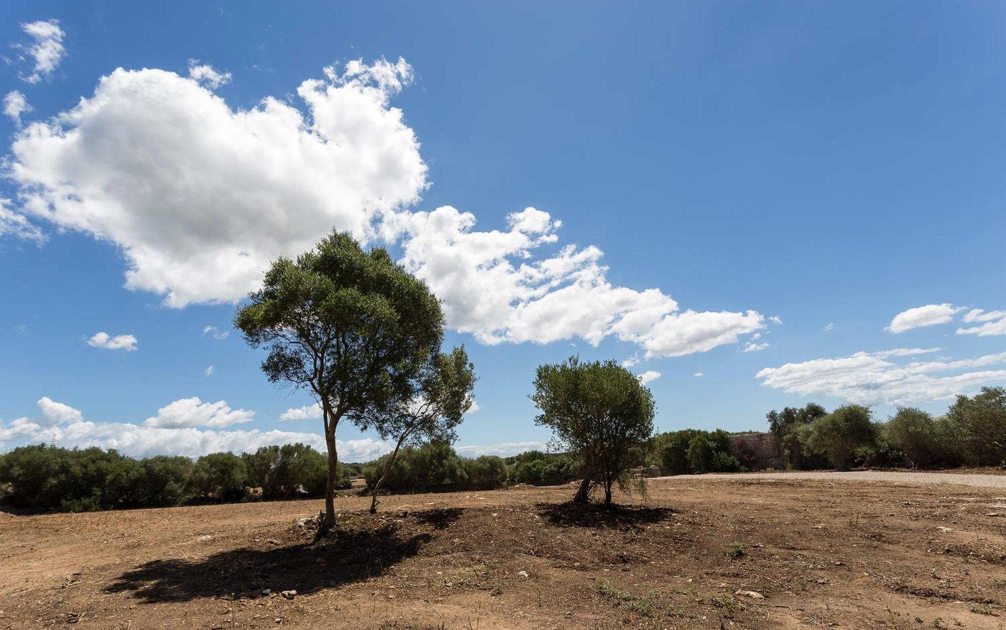 Agroturismo Santa Mariana Alaior Exteriör bild